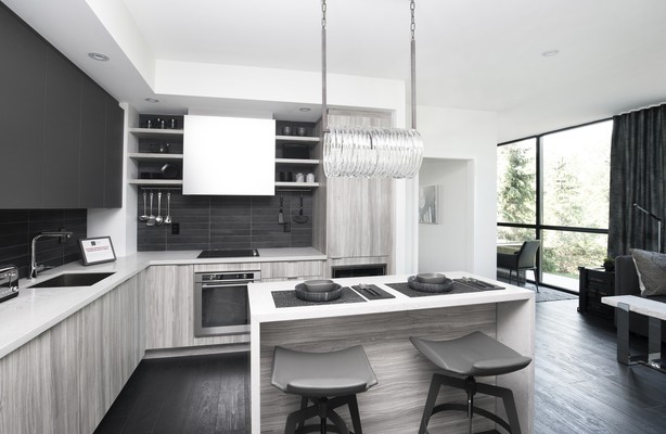 ModelSuite-1
